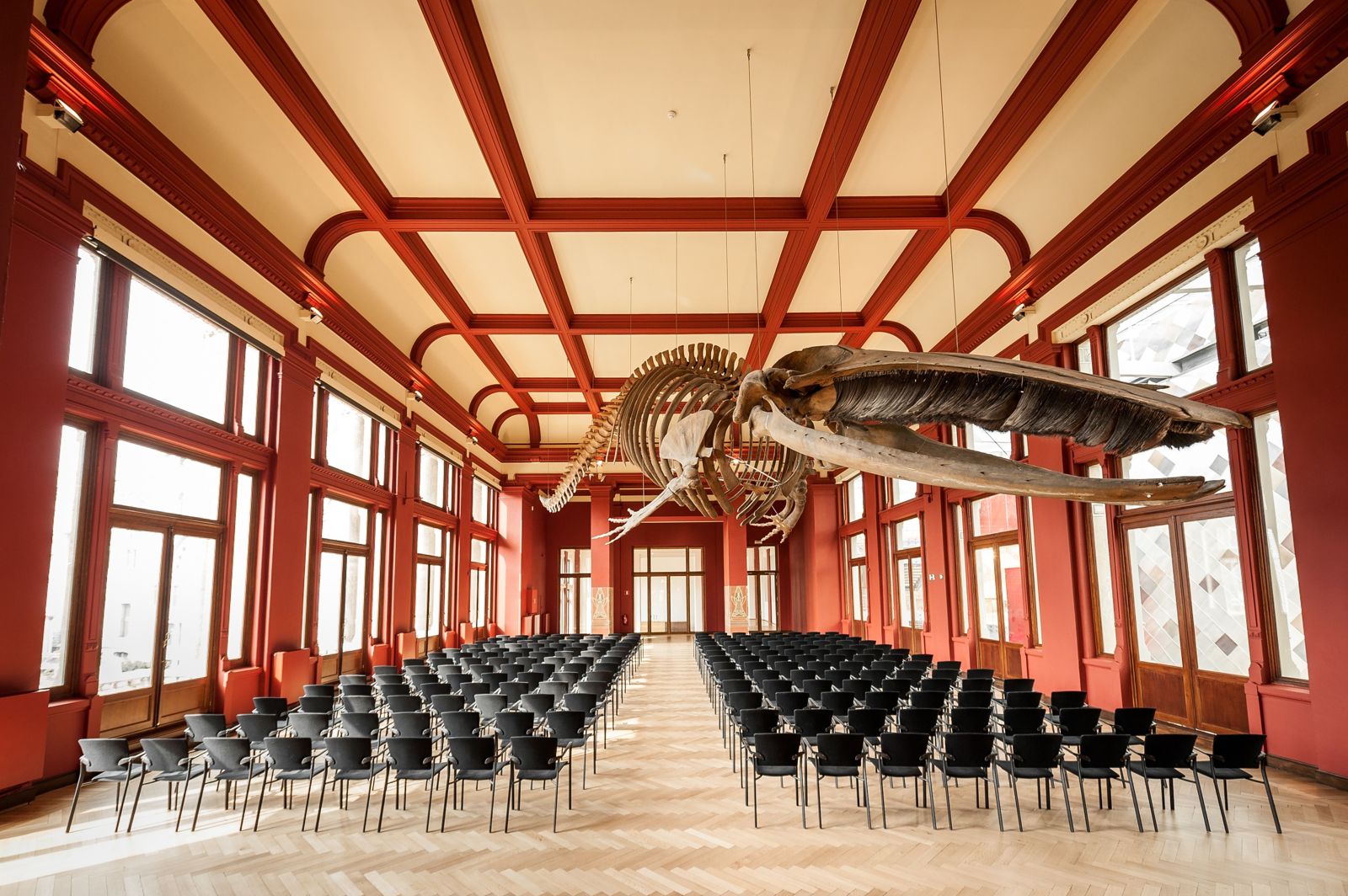 Flanders Meeting & Convention Center, photo 1