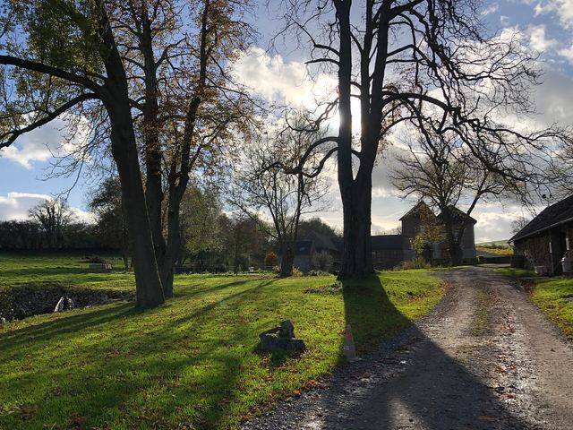 Salle Château de Berlieren, Hombourg